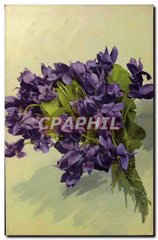 Bouquet de violettes — Photochromie — Blumenk. Serie V.638