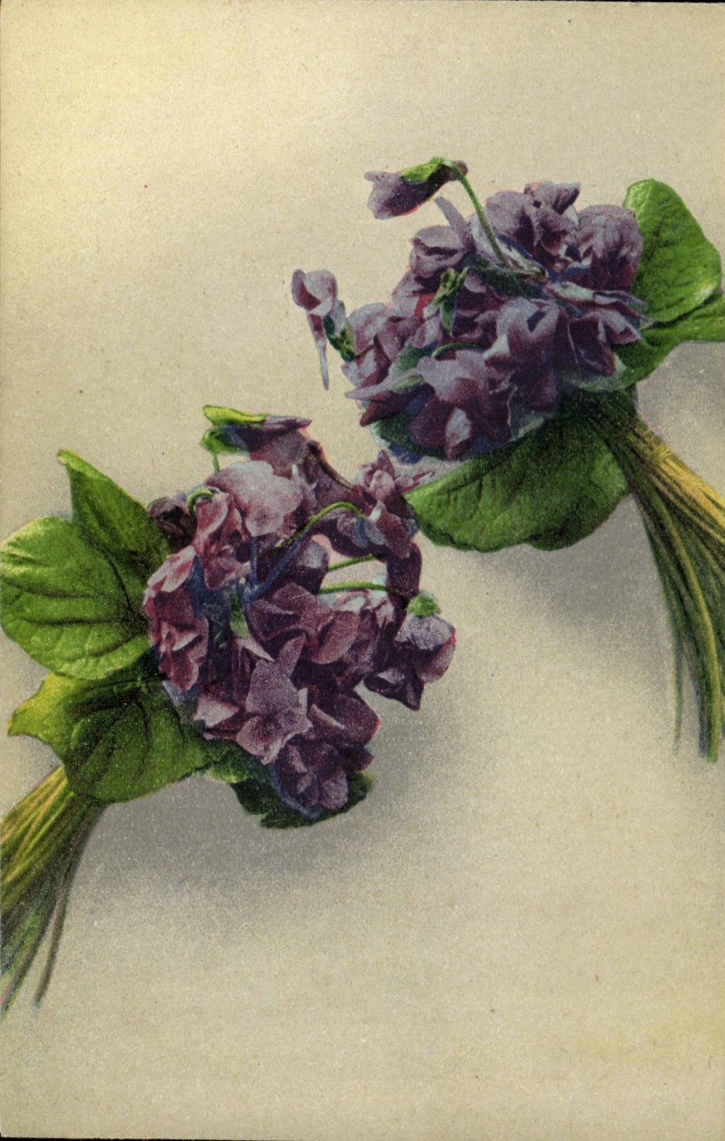 CPA Fleurs 