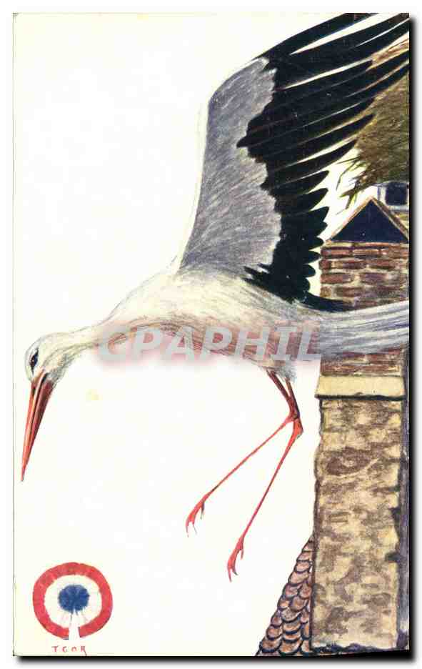 CPA Folklore Alsace Igor Cigogne d'Alsace