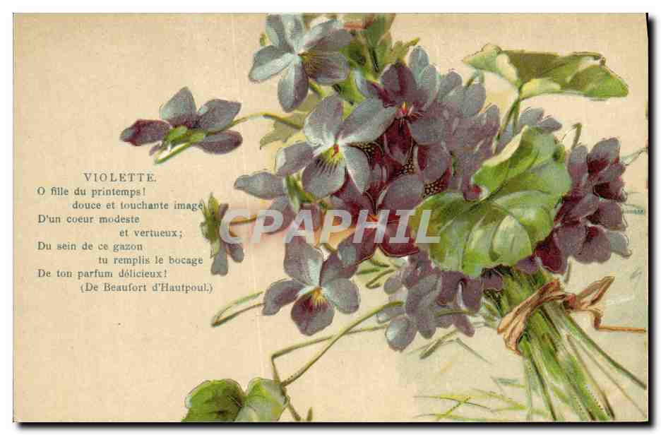 CPA Fantaisie Fleurs Violette