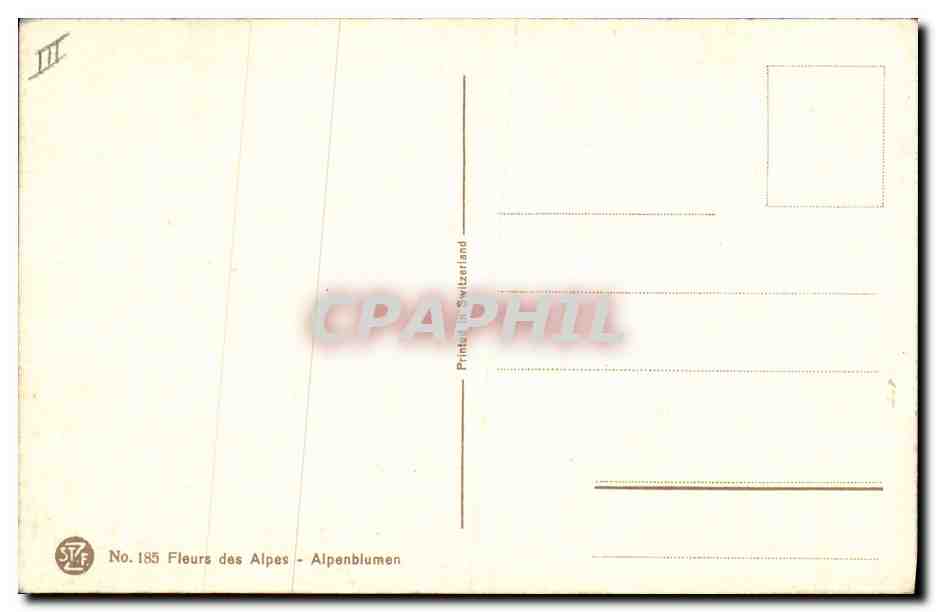 CPA Fantaisie Fleurs  — Rückseite