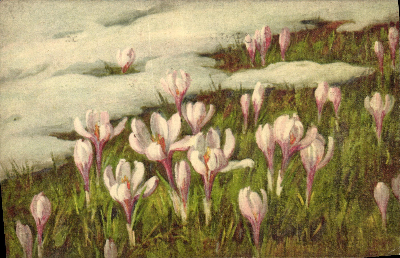 CPA Fantaisie Fleurs 