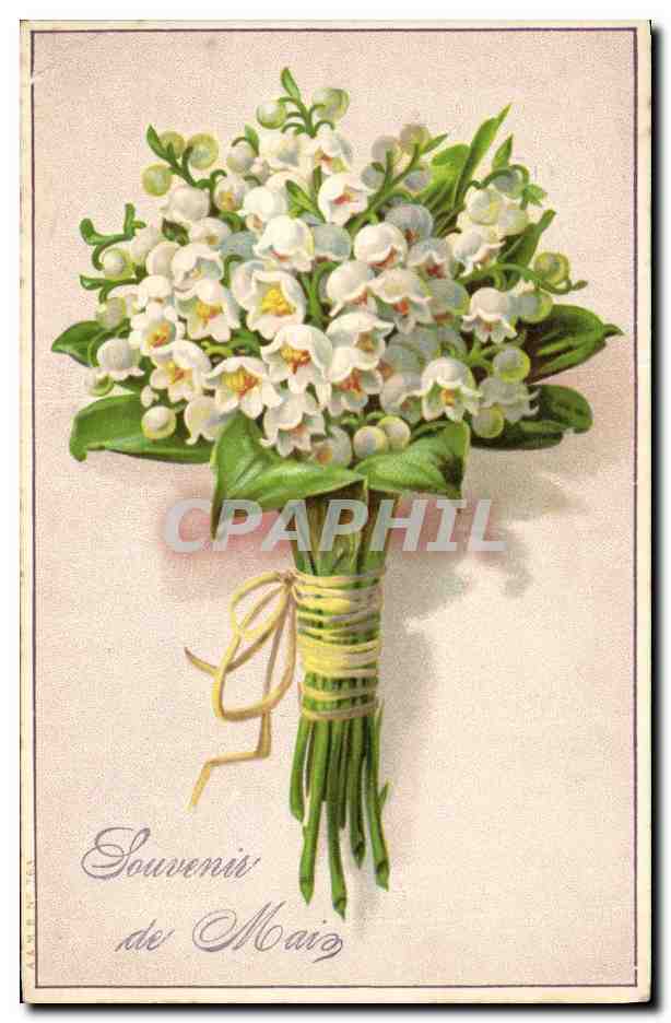 CPA Fantaisie Fleurs 