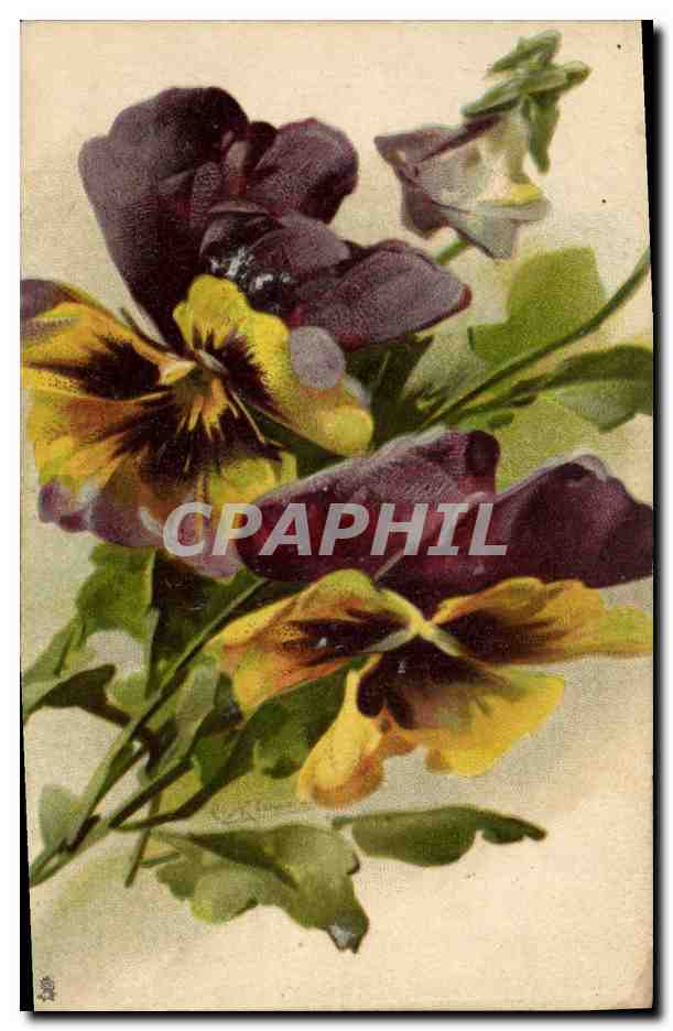 CPA Fantaisie Fleurs 