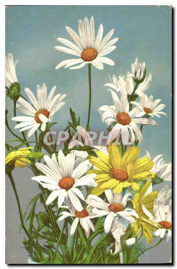 CPA Fantaisie Fleurs 