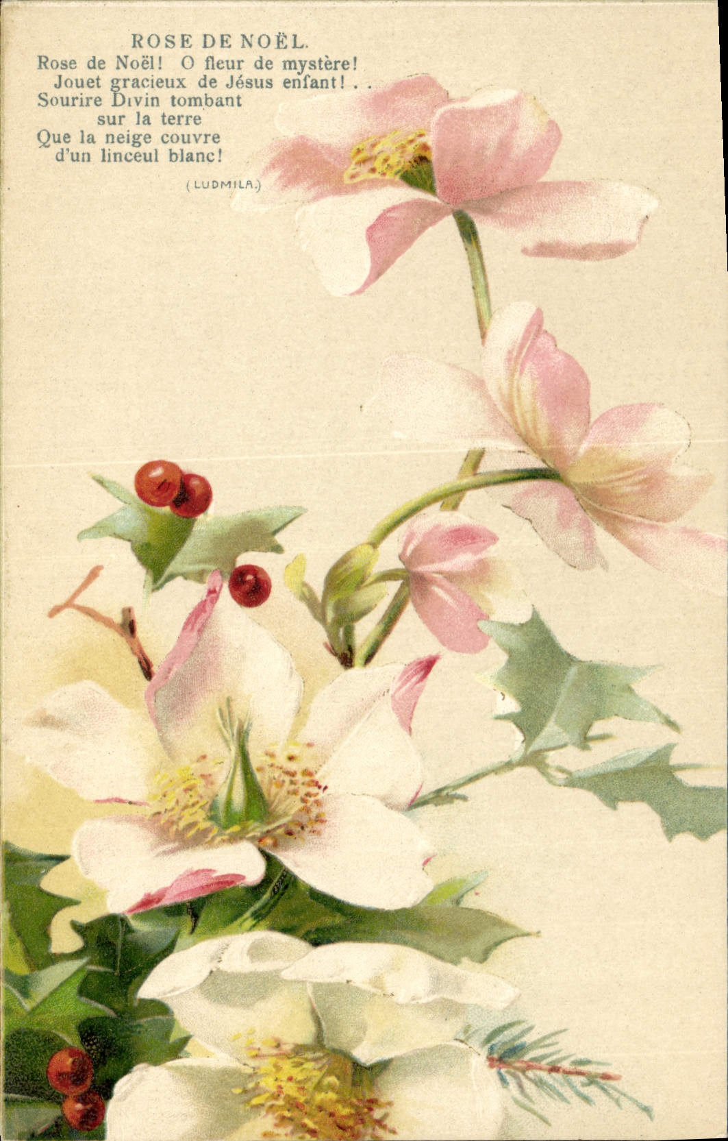 CPA Fantaisie Fleurs Rose de Noel