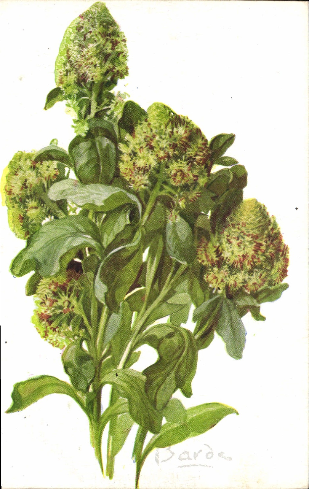 CPA Fantaisie Fleurs 