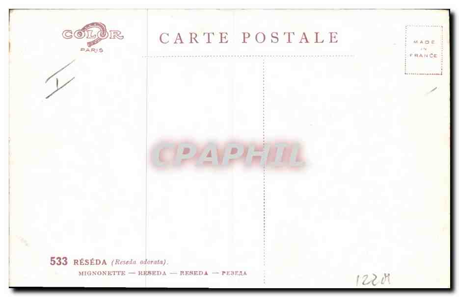 CPA Fantaisie Fleurs  — Rückseite