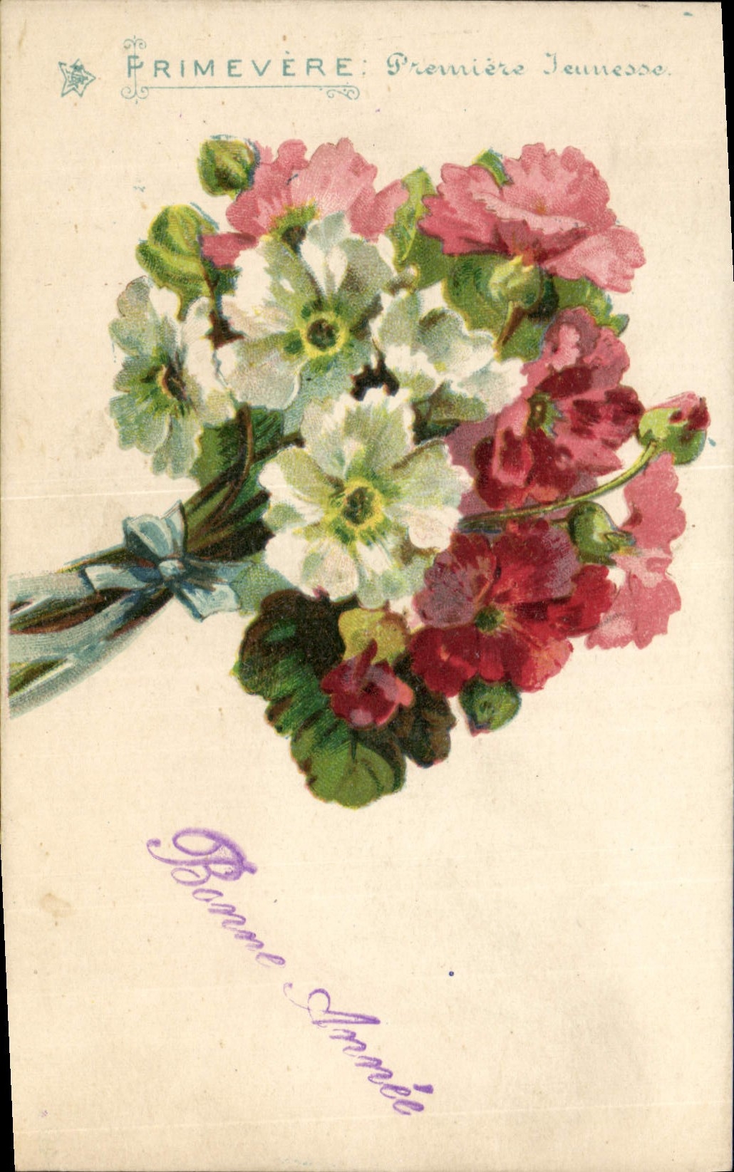 CPA Fantaisie Fleurs Primevere