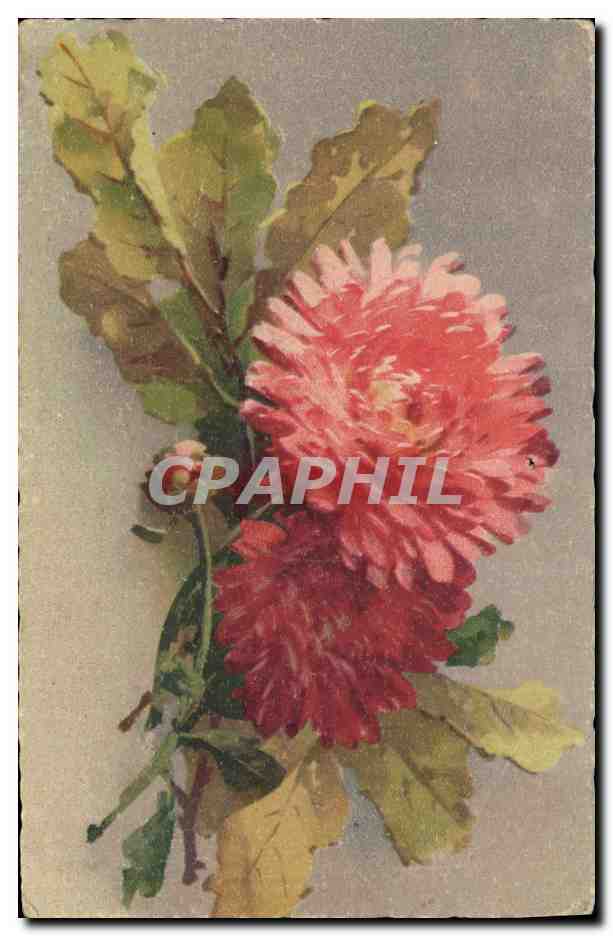 CPA Fantaisie Fleurs 