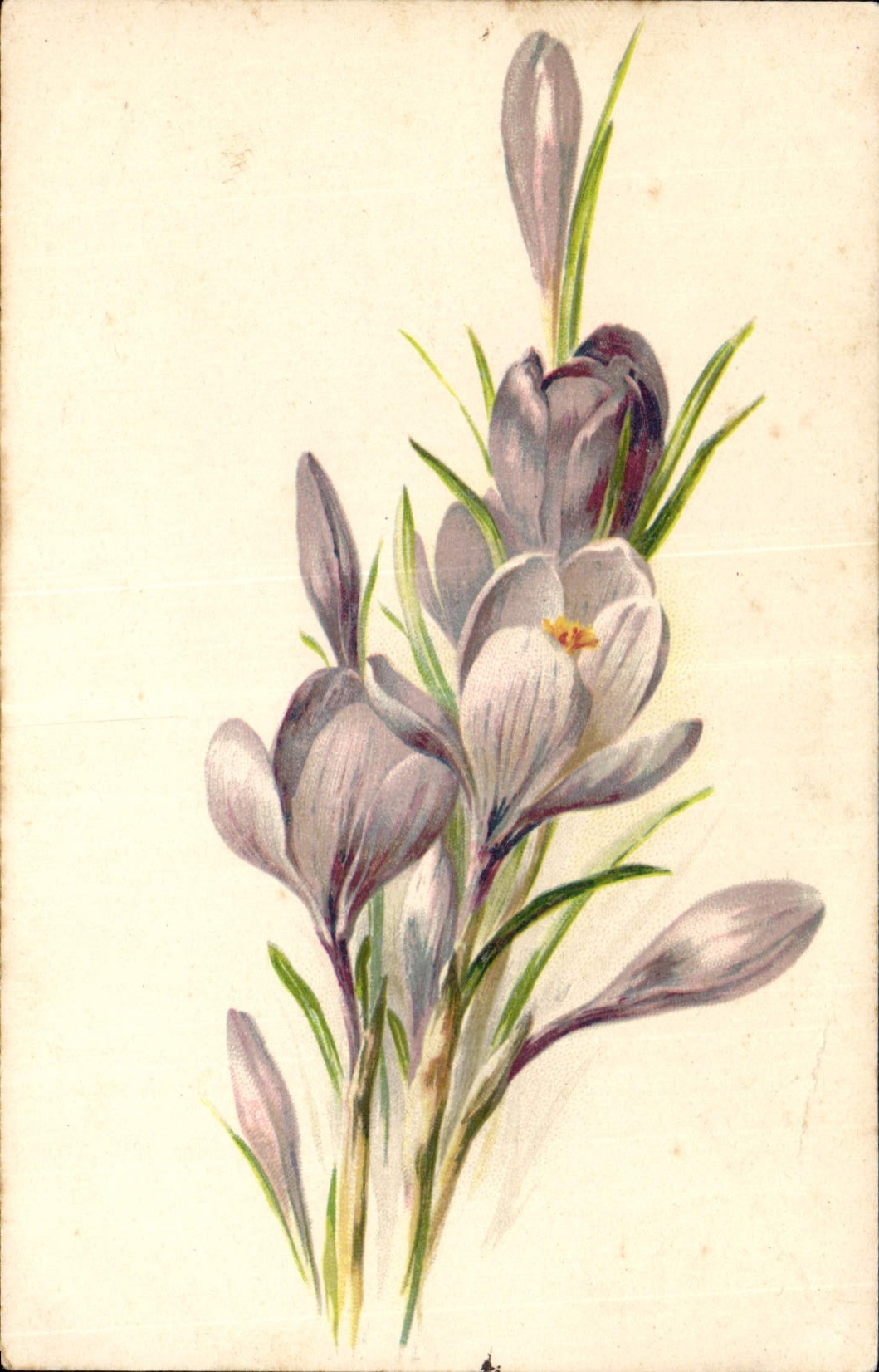 CPA Fantaisie Fleurs 