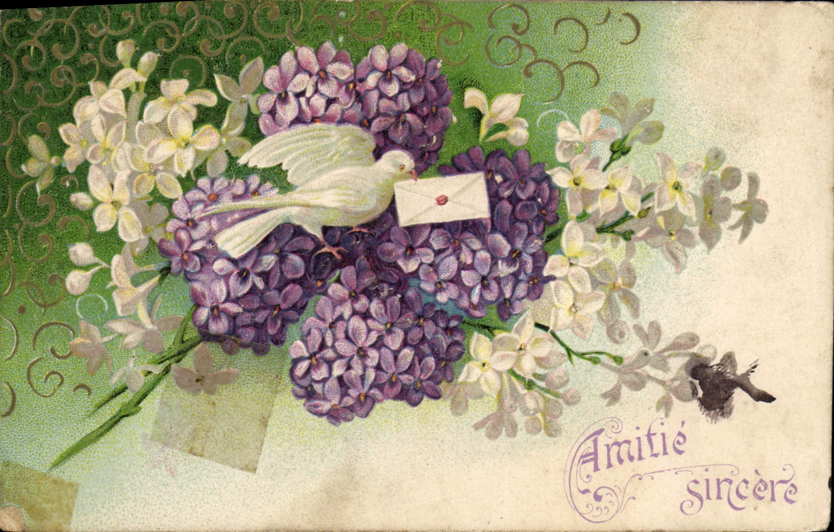 CPA Fantaisie Fleurs Colombe