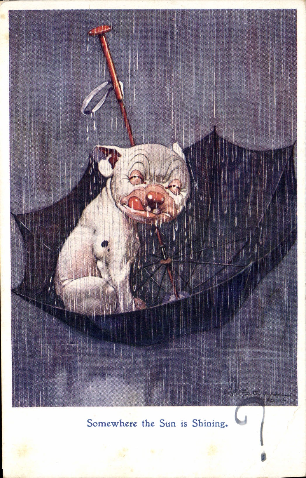 CPA Fantaisie Illustrateur Chien Somewhere the sun is shining 