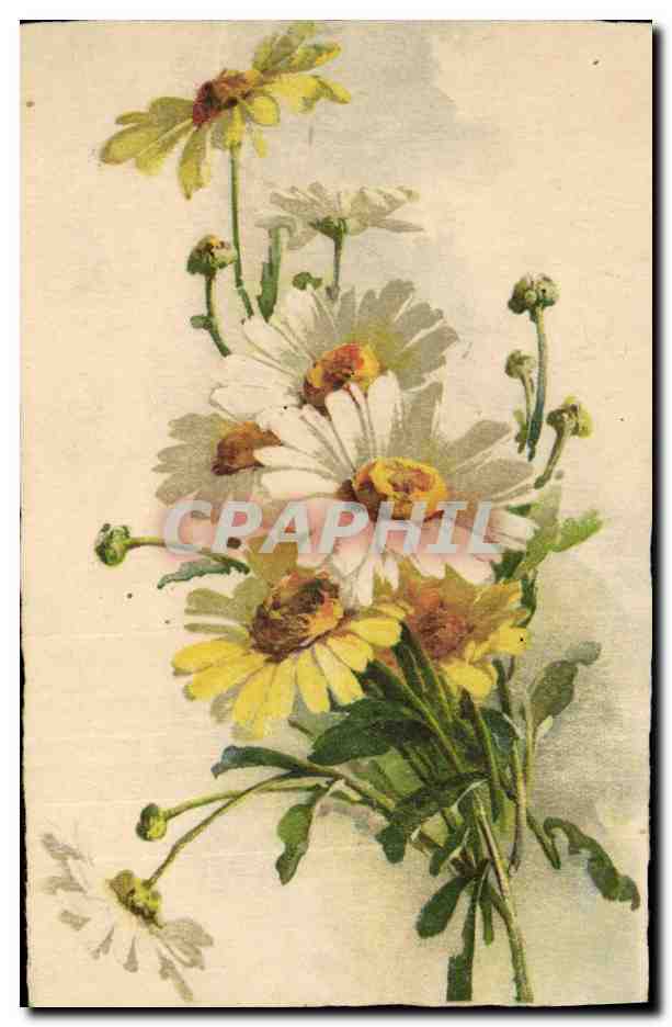 CPA Fantaisie Fleurs 