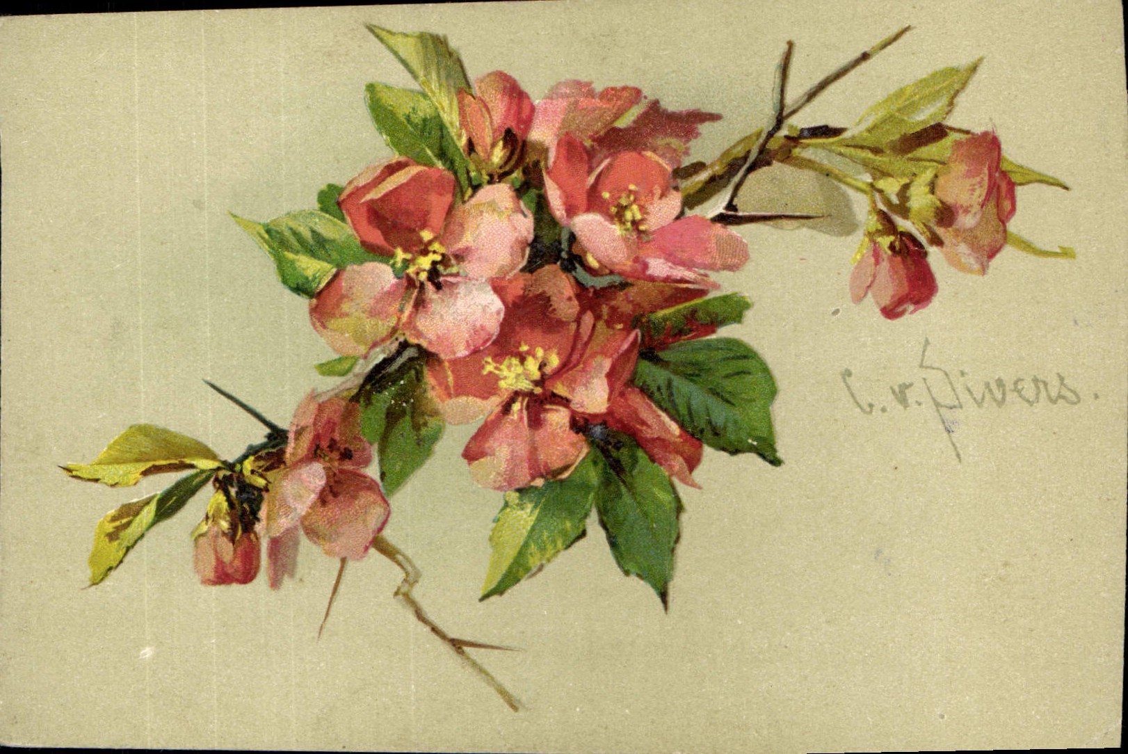 CPA Fantaisie Fleurs 