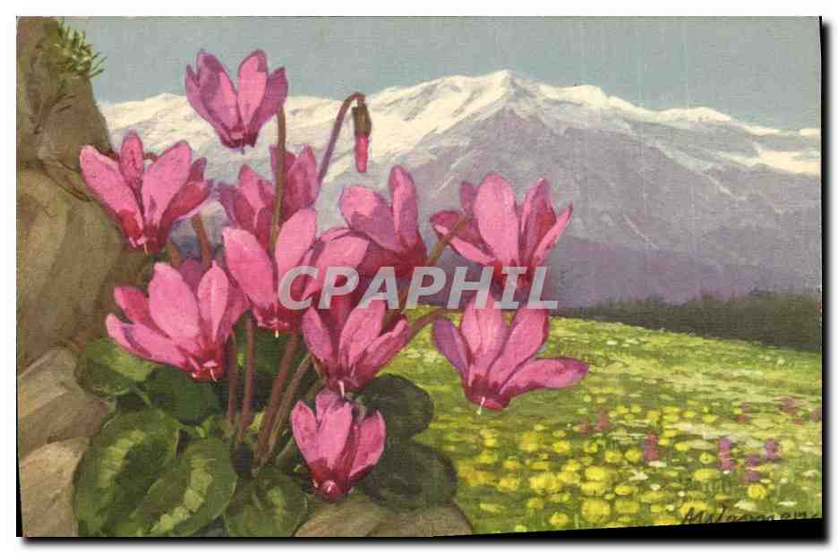 CPA Fantaisie Fleurs 