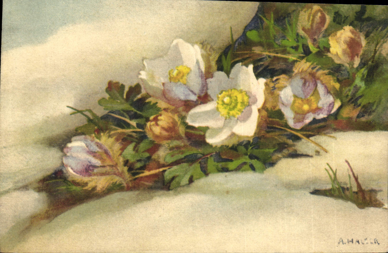 CPA Fantaisie Fleurs 