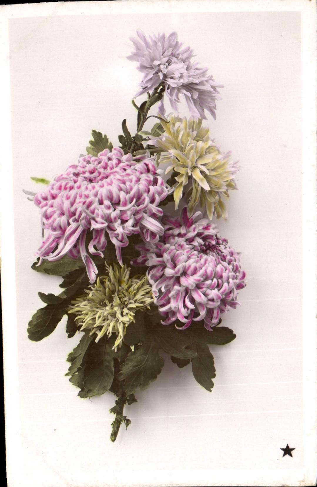 CPA Fantaisie Fleurs 