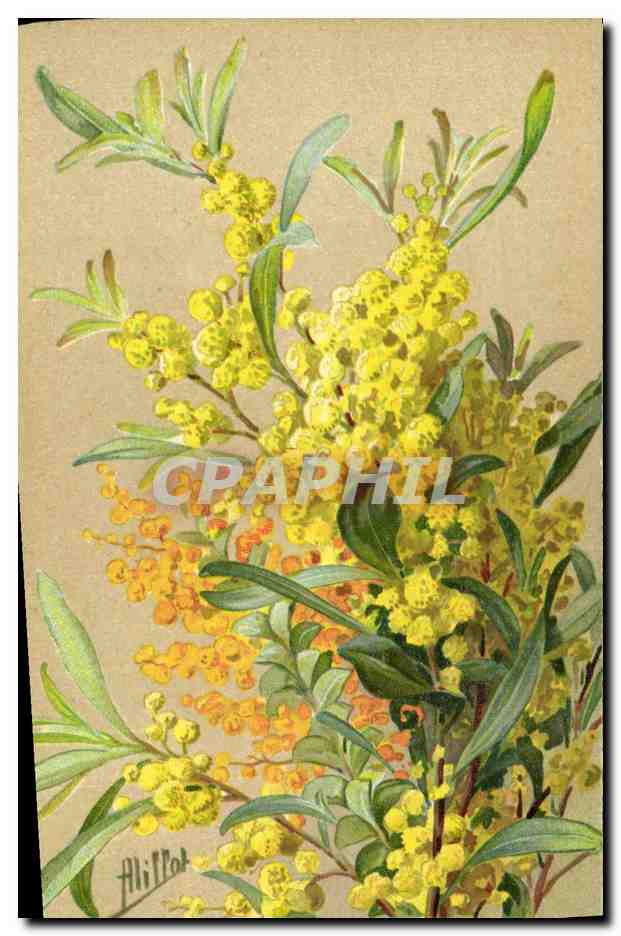 CPA Fantaisie Fleurs 