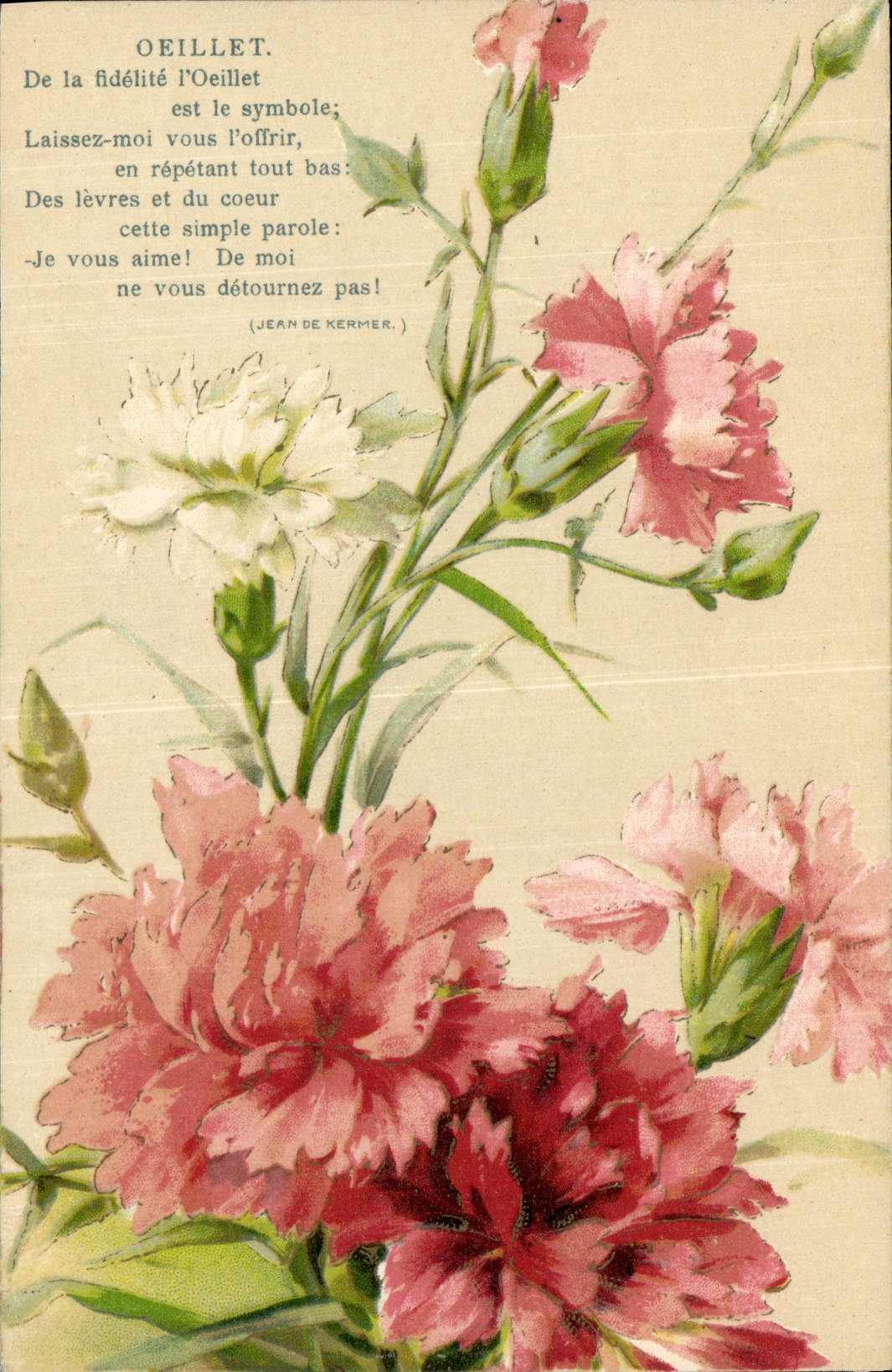 CPA Fantaisie Fleurs Oeillet