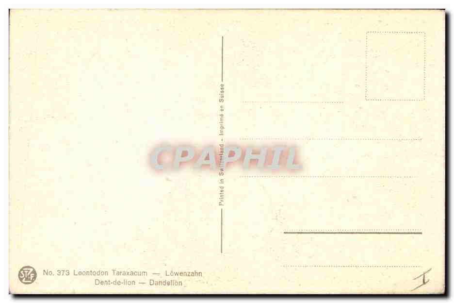 CPA Fantaisie Fleurs Dent de lion — Rückseite