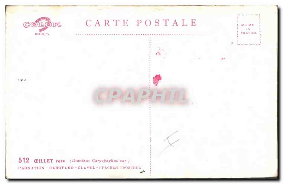 CPA Fantaisie Fleurs Oeillet Rose  — Verso