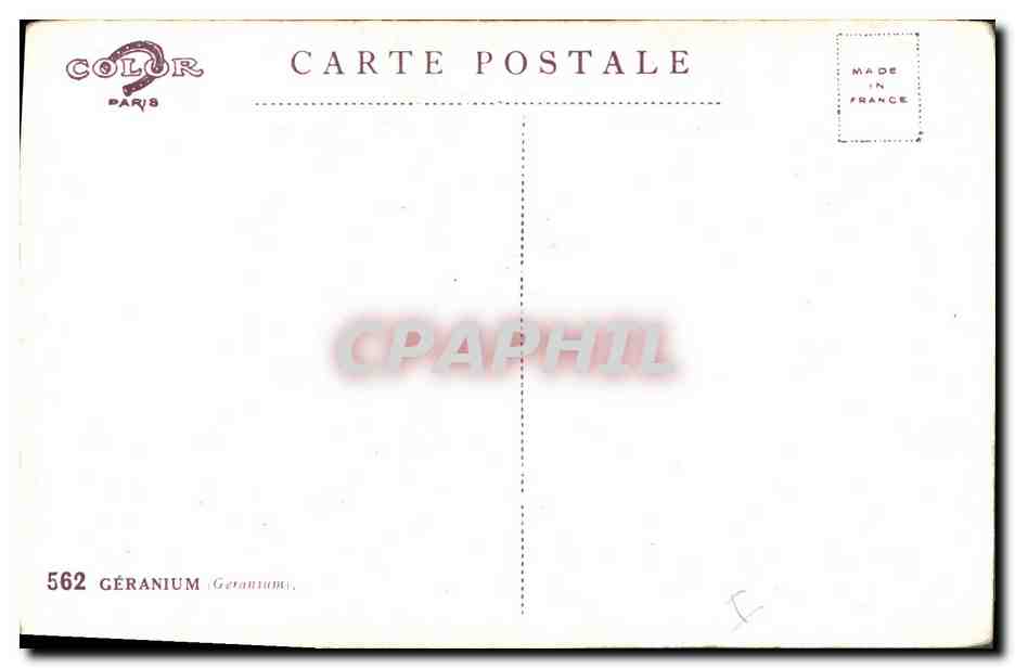 CPA Fantaisie Fleurs Geranium — Verso