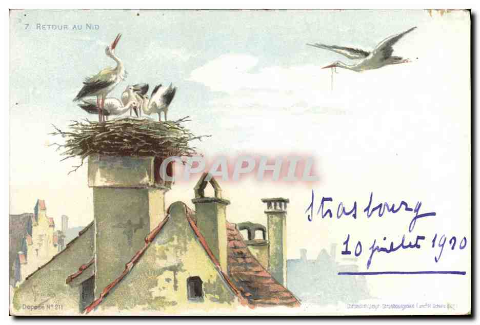 Retour au Nid — Dépôté N° 211 — Dépôté Jour, Strasbourg