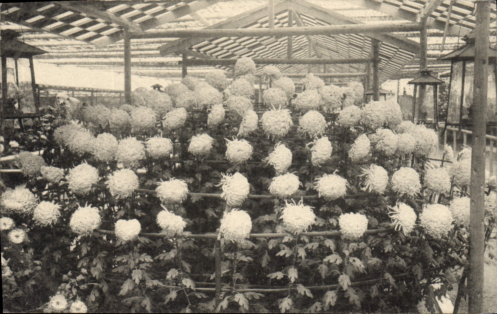 CPA Fantaisie Fleurs Japon Nippon
