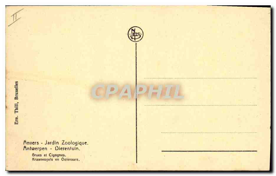 CPA Anvers Jardin zoologique Grues et Cigognes  — Rückseite