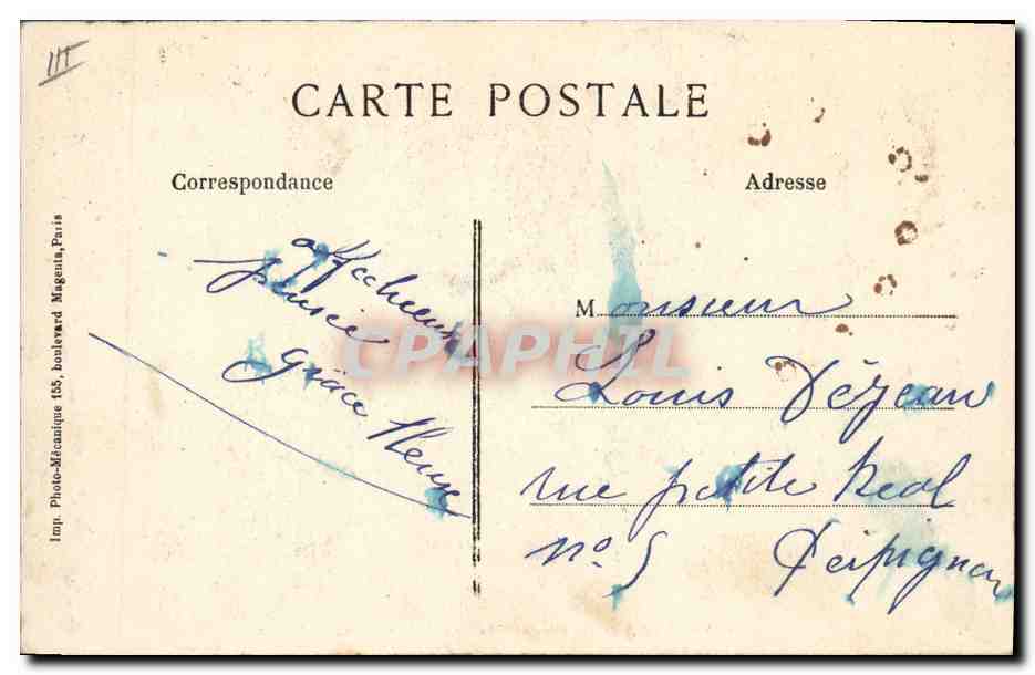 PARIS — Jardin des Plantes — Die rosa Flamingos — Imp. Photo-Mécanique, Paris — Rückseite
