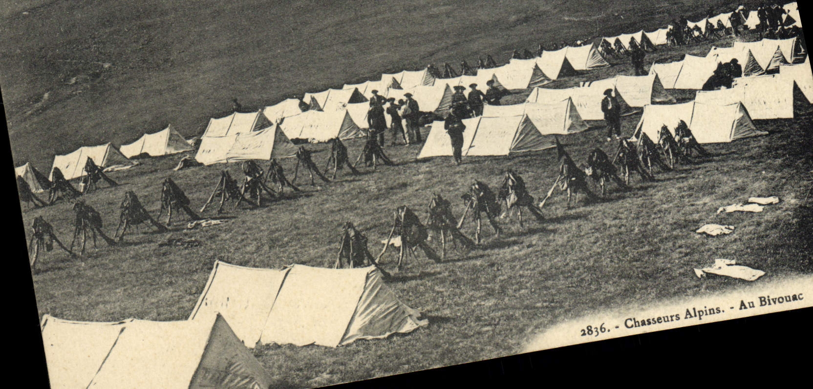 Chasseurs Alpins - Au Bivouac — 2836 — Éditeur : Adrane Éditeur