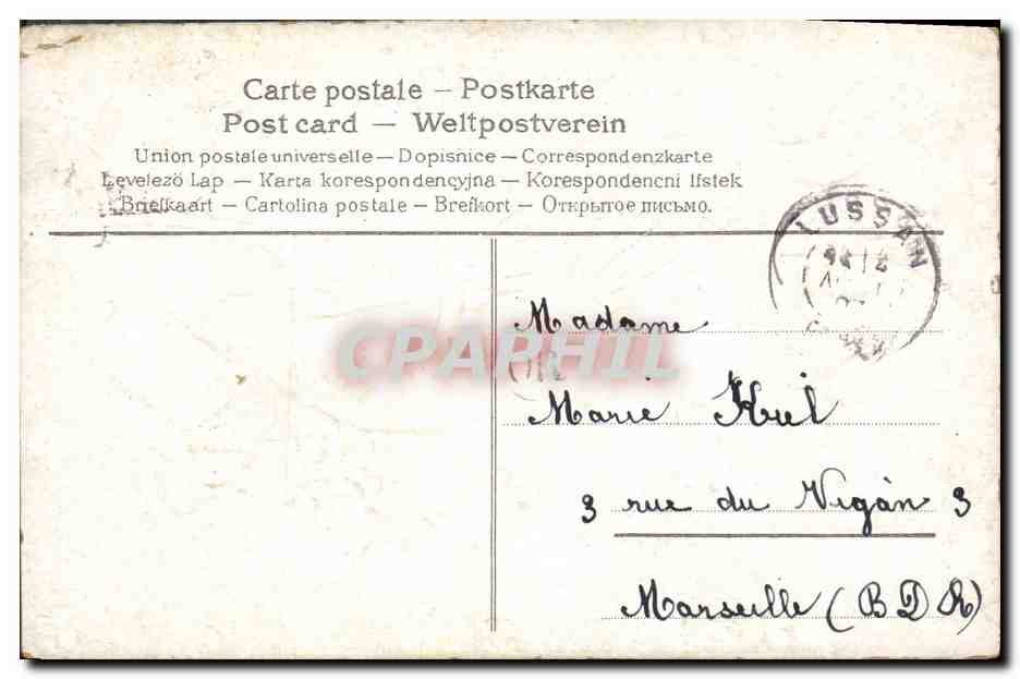 CPA Fantaisie Fleurs Oiseaux Colombe — Verso