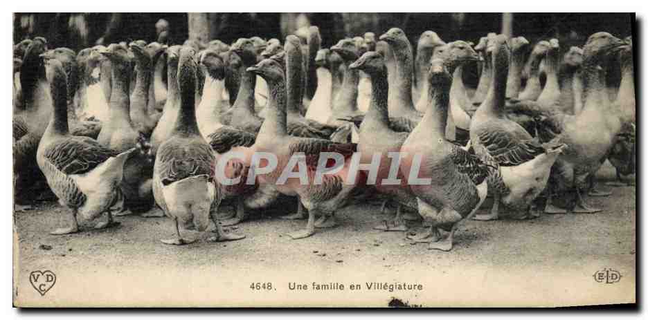 CPA Oies Une famille en villegiature 