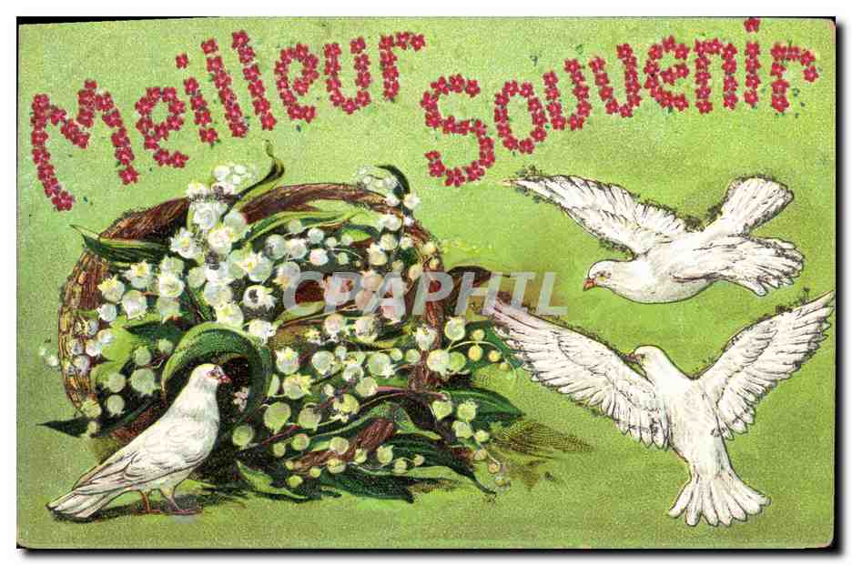 CPA Fantaisie Fleurs Muguet Colombes