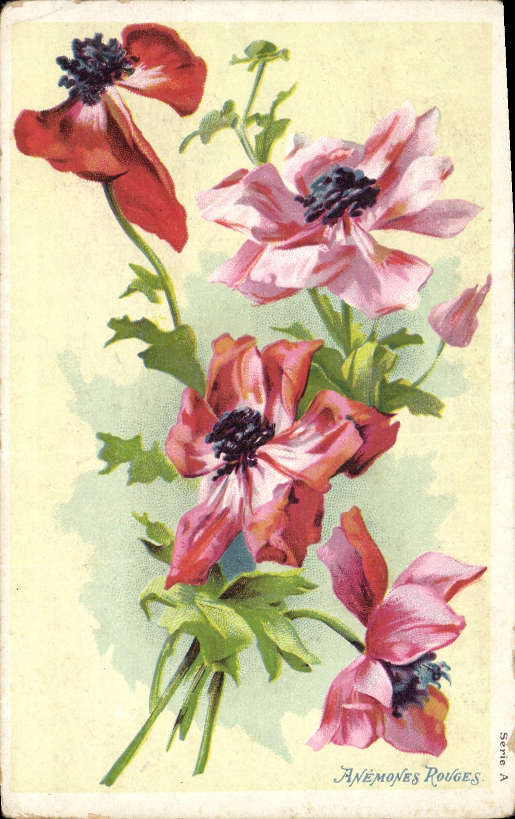 CPA Fantaisie Fleurs Anemones rouges 