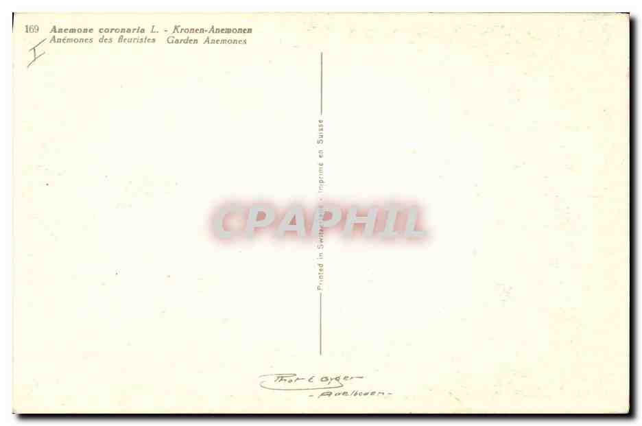 CPA Fantaisie Fleurs Anemones des fleuristes  — Verso