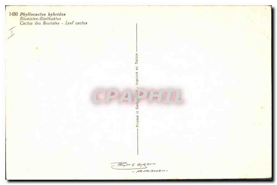 CPA Fantaisie Fleurs Cactus des fleuristes  — Verso