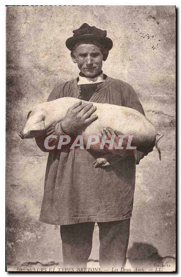 CPA Cochon Porc Les deux amis