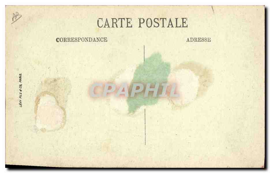 CPA Cochon Porc Les deux amis — Rückseite