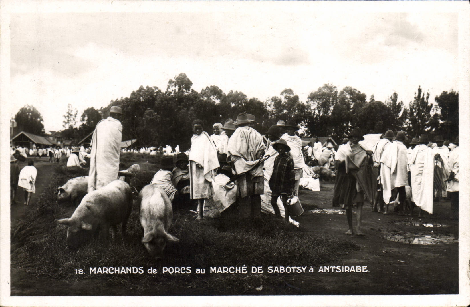 Schweinehändler am Markt in Sabotsy bei Antsirabe — Éditions de Madagascar, n°12