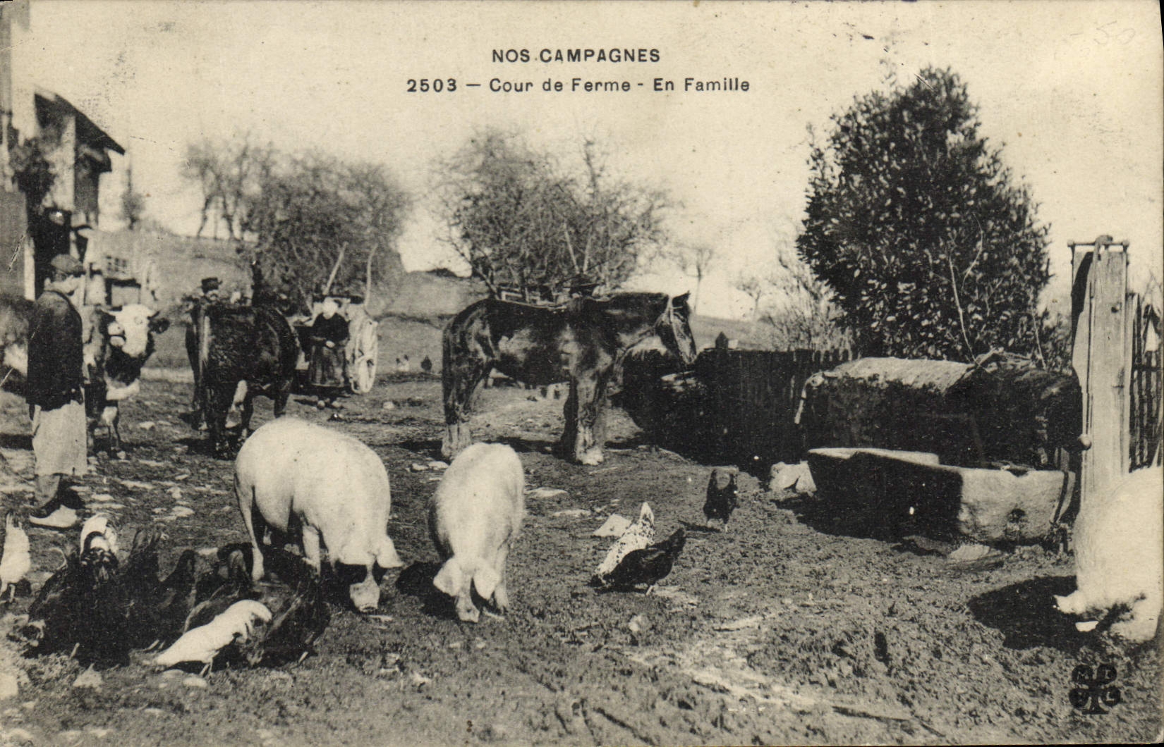 CPA Cochon Porc Cour de ferme En famille