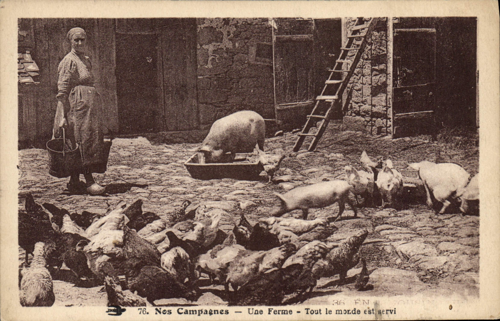 CPA Cochon Porc Une ferme Tout le monde est servi