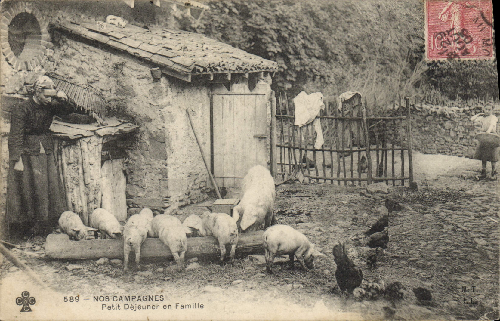 CPA Cochon Porc Petit dejeuner en famille