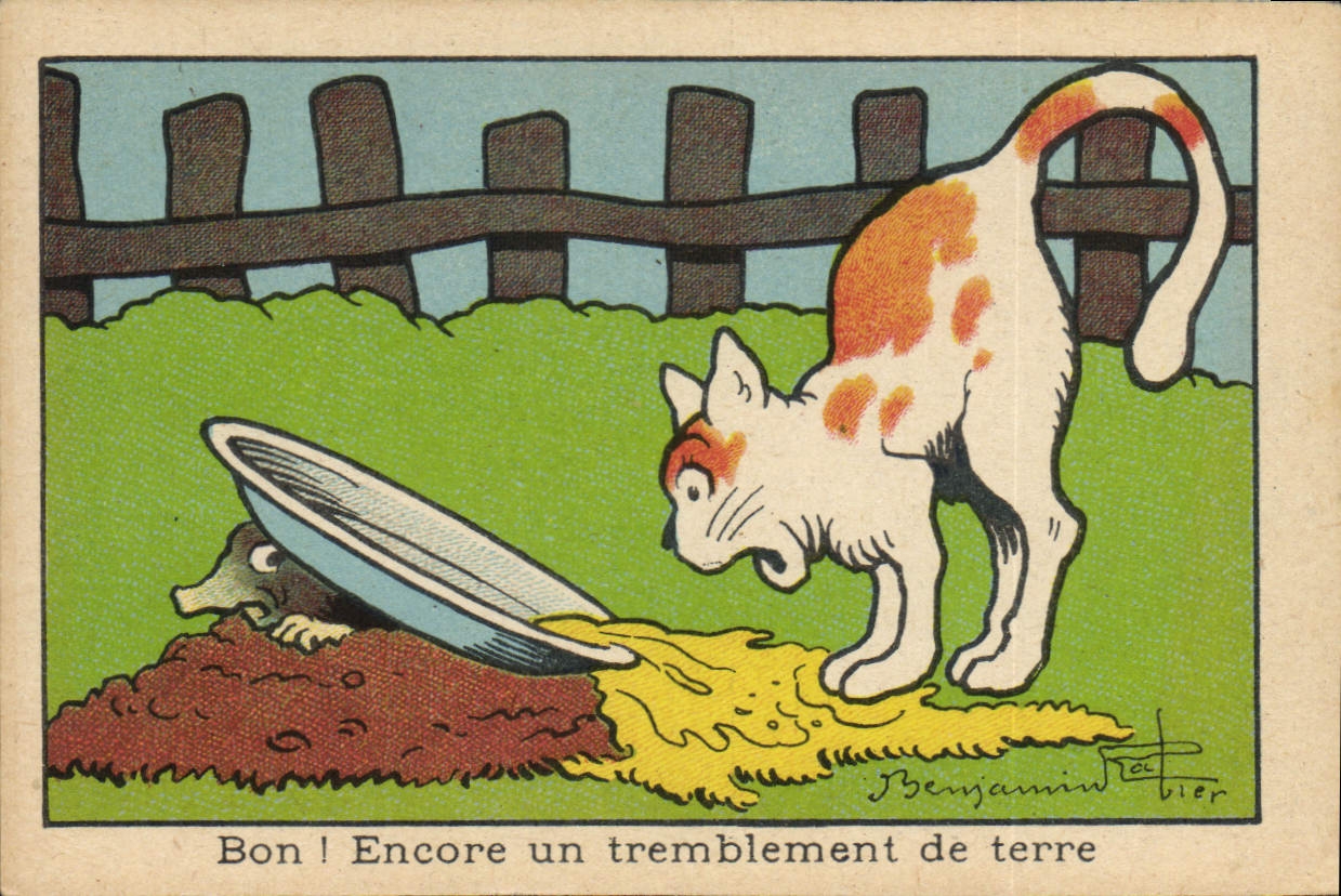 Image Benjamin Rabier Bon Encore un trmeblement de terre Chat