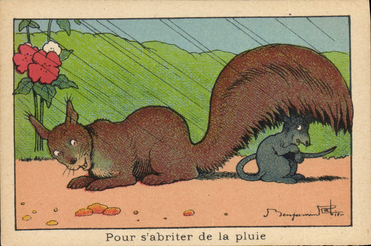 Image Benjamin Rabier Pour s'abriter de la pluie Ecureuil Souris
