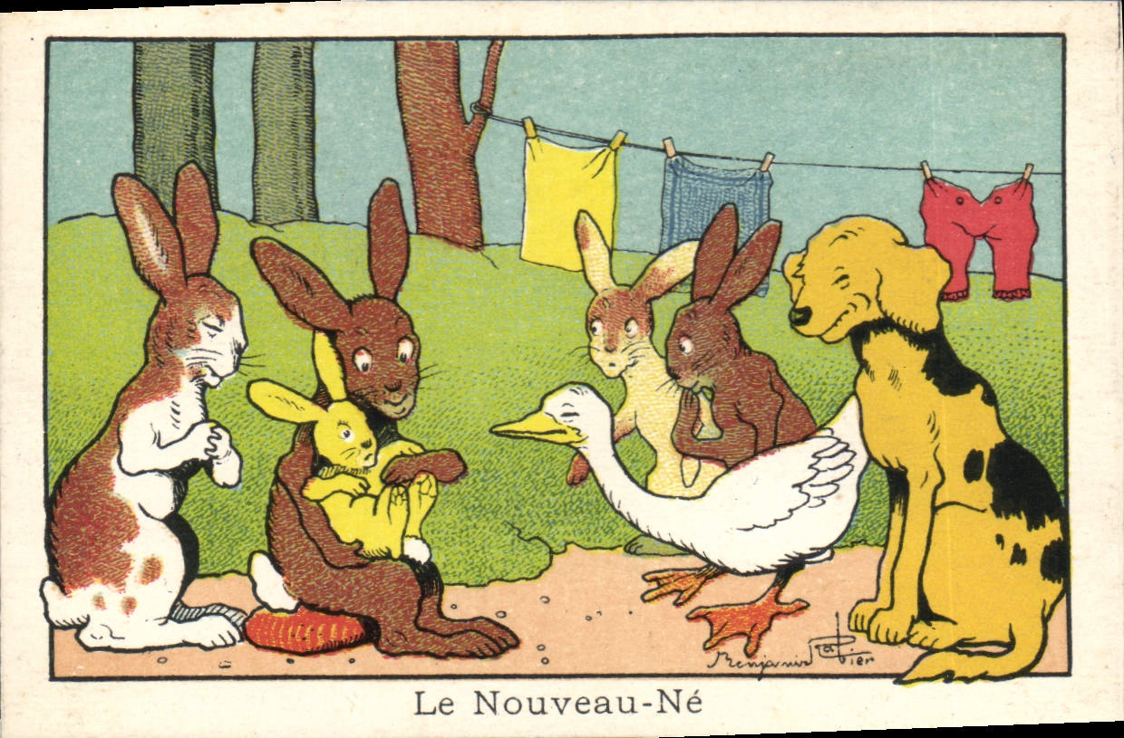 Image Benjamin Rabier Le nouveau ne Lapin Chien Oie 