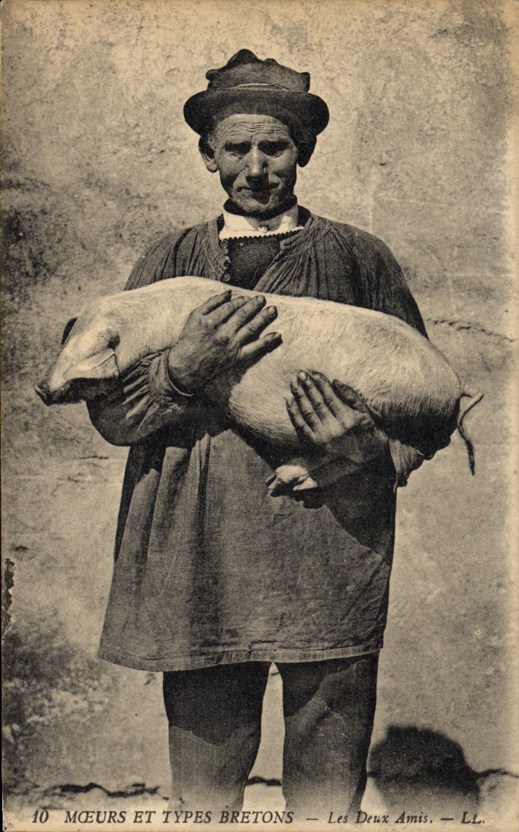 CPA Cochon Porc Bretagne Les deux amis 