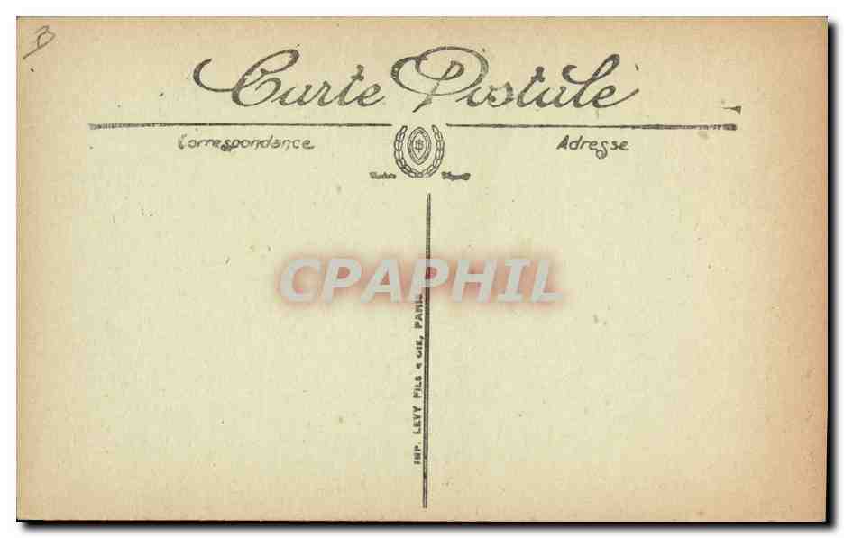 CPA Cochon Porc Bretagne Les deux amis  — Back