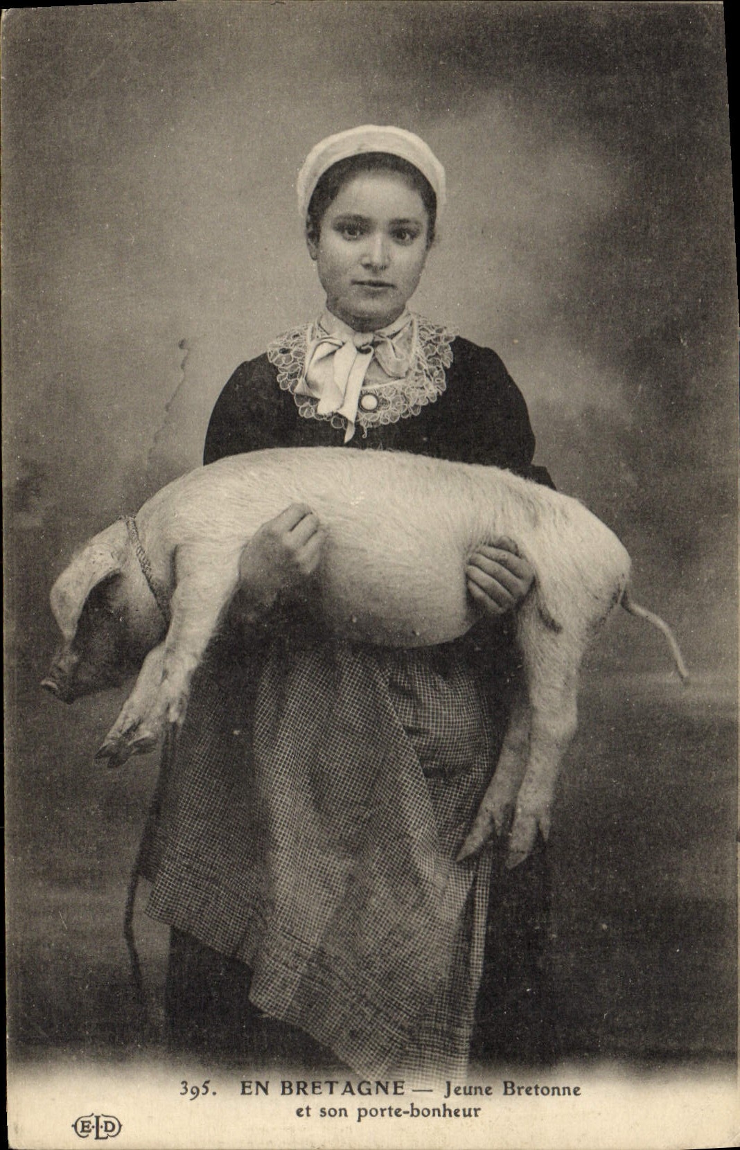 CPA Cochon Porc Bretagne Jeune Bretonne et son porte bonheur 